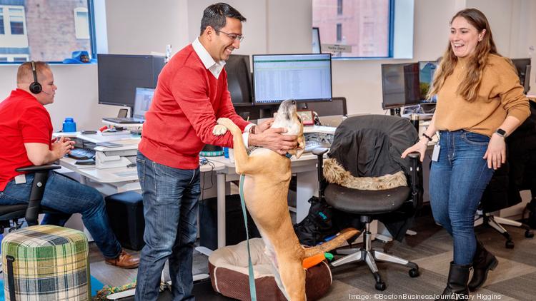 man playing with dog from corporate office