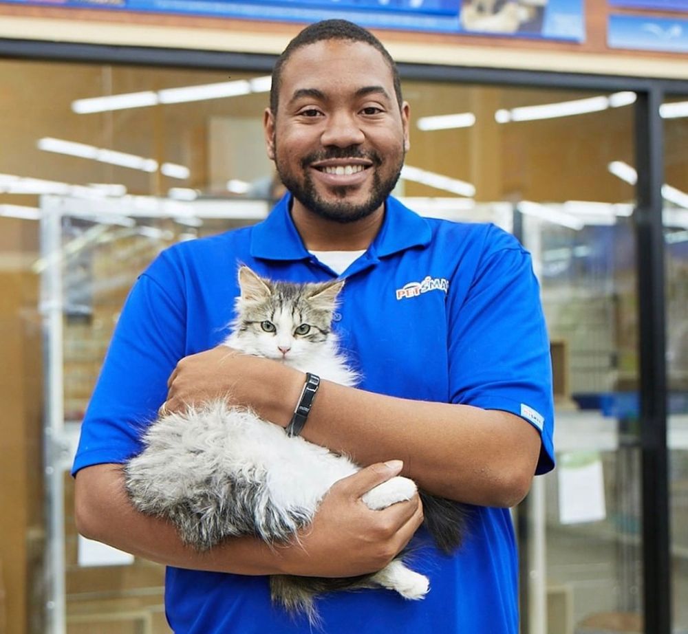 petsmart employee holding a cat